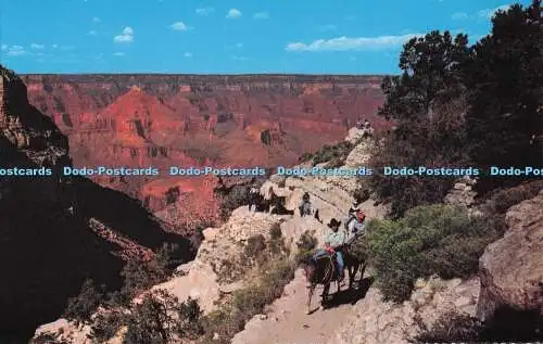 R705535 Arizona. Grand Canyon Nationalpark. Fred Harvey. Mike Roberts