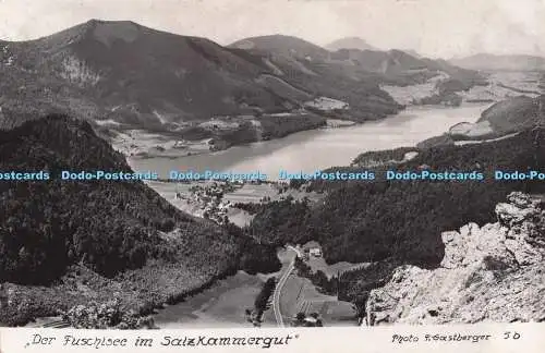 R701954 Der Fuschlsee im Salzkammergut. F. Gastberger. RP. 1963