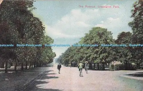 R704189 Greenwich Park. The Avenue. Postkarte