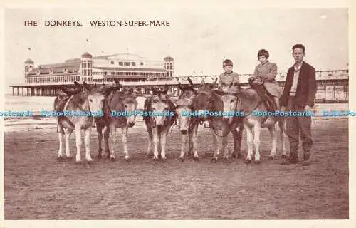R708082 Weston Super Mare. Die Esel. Grußkarte