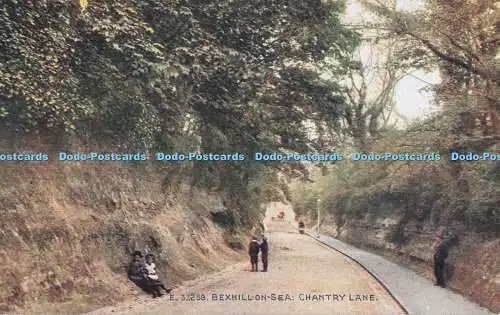 R708936 Bexhill on Sea. Chantry Lane. Das Photochrom. London und Tunbridge Wells