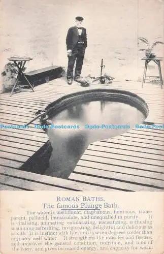 R710235 Römische Bäder. Das berühmte Tauchbad. W. Butterfield. White Wells. Ilkley