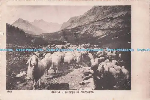 R711709 Berg. Gregge in Montagna. Ufficio Revisione Stampa. Milano