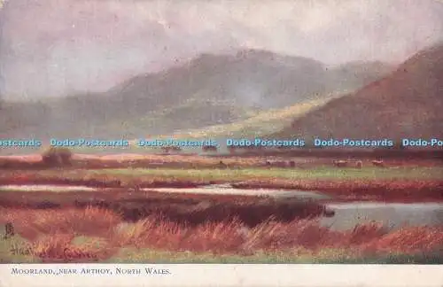 R712516 Nordwales. Moorlandschaft bei Arthoy. stecken. Oilette. 1669. Hadfield Cubley