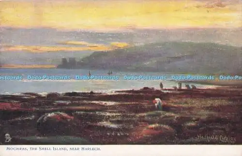 R712523 Mochras. Die Muschelinsel bei Harlech. stecken. Oilette. 1669. Hadfield Cu