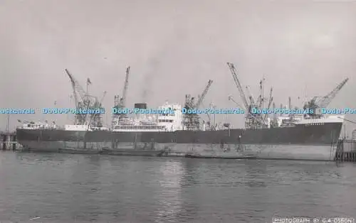 R715009 Schiff Shirrabank. G. A. Osbon. Altes Foto. 1955
