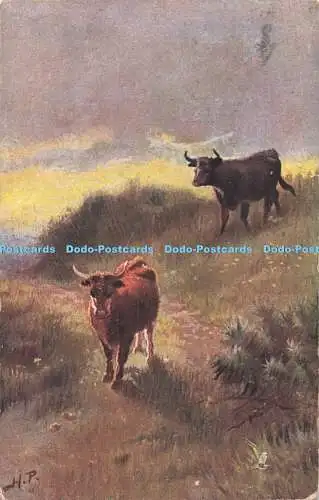 R712705 Rinder in den Highlands. Ein nahender Sturm. stecken. Oilette. 9007. Harr
