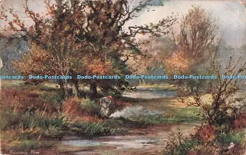 R713485 Richmond Park. Den Fluss hinauf. stecken. Aquarette. Serie. 3. 6422