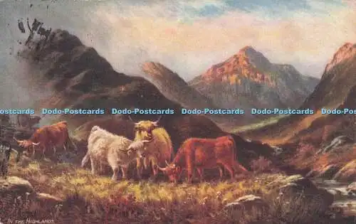 R716190 in den Highlands. In den schottischen Highlands. stecken. Oilette. 9441. PM. Bi