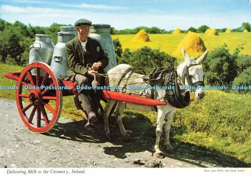 D148460 Irland. Milch in die Milchkännchen liefern. John Hinde. Joan Willis