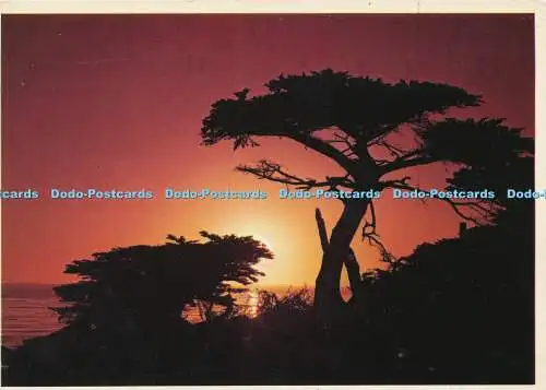 D151863 Pescadero Point. Kiesstrand. Kalifornien. Plastichrom