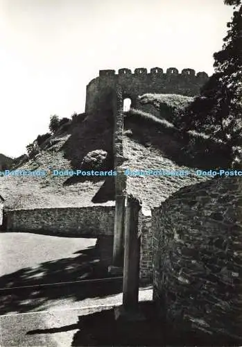 D154328 Devon. Totnes Castle. Motte and Shell Keep From N. Ministry of Public Bu