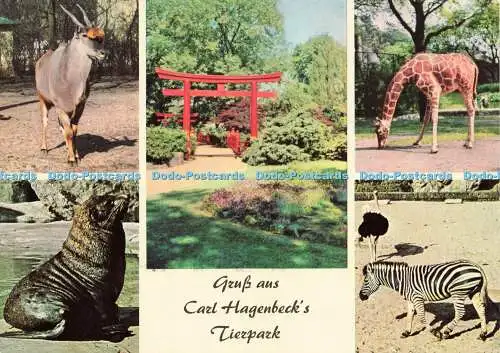 D152271 Gruss aus Carl Hagenbeck Tierpark. Nach Farbfotografie. Multi View