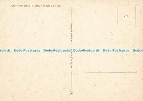 D152271 Gruss aus Carl Hagenbeck Tierpark. Nach Farbfotografie. Multi View