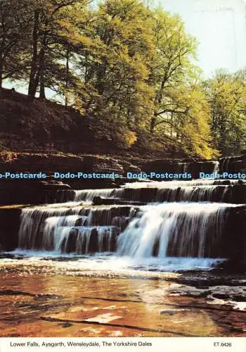 D154719 Wensleydale. Lower Falls. Aysgarth. The Yorkshire Dales. Bamforth. G. Ha