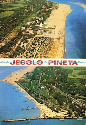 D153083 Jesolo Pineta. Magazzini Favalli. G.M. Multi View