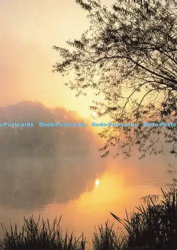 D155471 Morgenstimmung am See. Deutsches Jugendherbergswerk. Kalender Wandern 94