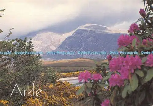 D018571 Arkle. Frühling in Achfary und ein Nebel auf Ben Arkle dem Sutherlandberg