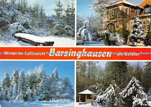 D013786 Winter im Luftkurort Barsinghausen am Deister