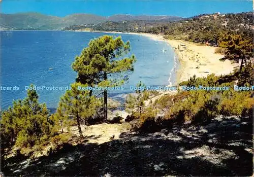 D018875 La Croix Valmer. Var. Gigaro Plage. S.E.P.T. 1967