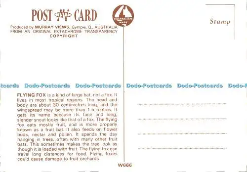 D019064 Flying Fox. Murray View. Australian Made