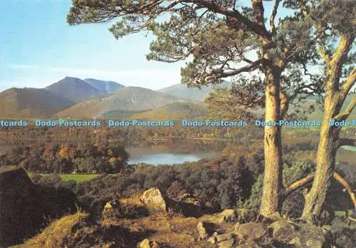 D020948 Derwentwater und Causey Pike von Castle Head. Cumberland. Die nationale