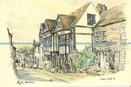 D019230 Rye Sussex. Diane Setek. Newmarch Collections Limited