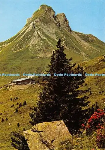 D019478 Damulser Mittagspitze. Bregenzerwald. 90 Jahre Risch Lau. Vorarlberg. Da
