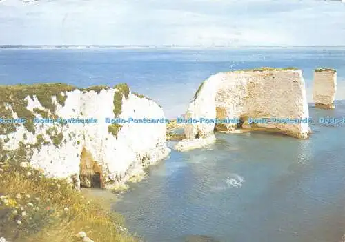 D021416 Old Harry Rocks near Studland. Dorset. Dixon. 1978