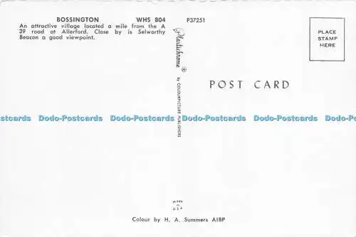 D019654 Bossington. Plastichrom. Farbbildverlag. H. A. Summers