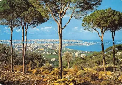 D014643 Beirut von den Bergen aus gesehen. 1994