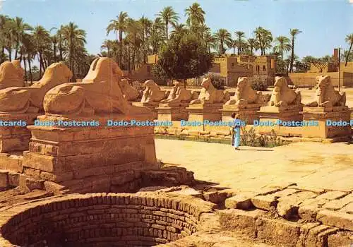 D016724 Karnak. Die berühmte Sphinx Avenue am Amon Tempel