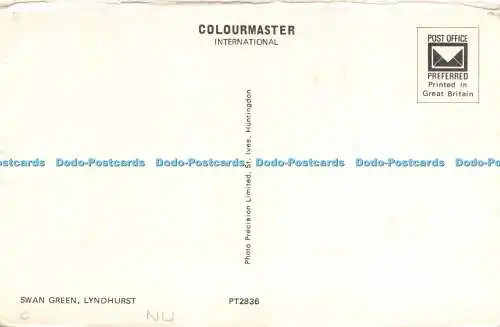 D019668 Schwanengrün. Lyndhurst. Colourmaster International. Präzision