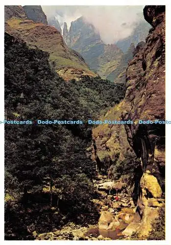 D021469 Royal Natal National Park. Drakensberg. Artco. Kunstverlag. L.E.A.