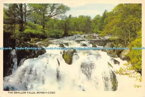 D019713 Die Schwalbe fällt. Betws y Coed. Präzision. Colourmaster International