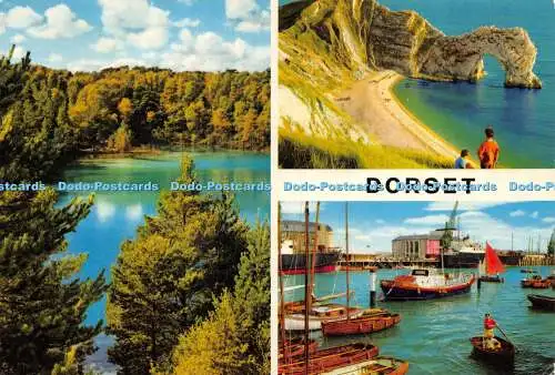 D019740 Dorset. Donner und Clayden. Hinde. 1978. Multi View