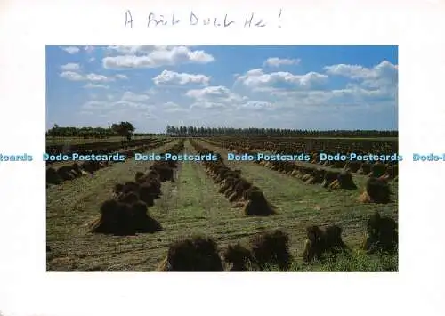 D021524 Naturansicht. Postkarte