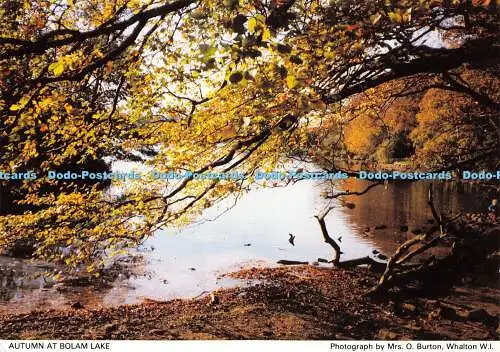 D016858 Herbst am Bolam See. Mrs. O. Burton