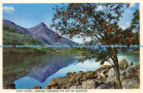 D019834 Loch Leven. Blick auf den Pap von Glencoe