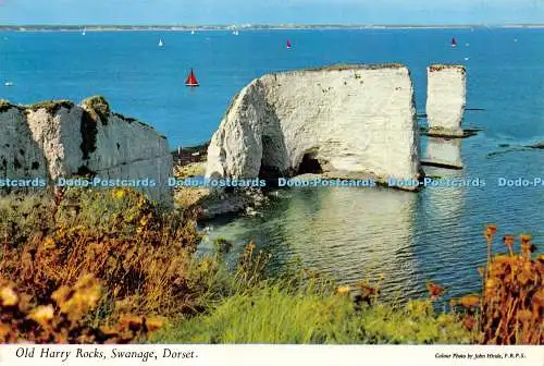 D019837 Old Harry Rocks. Swanage. Dorset. Hinde. Donner und Clayden. Dearden an