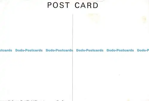 D019909 Preußen. Postkarte