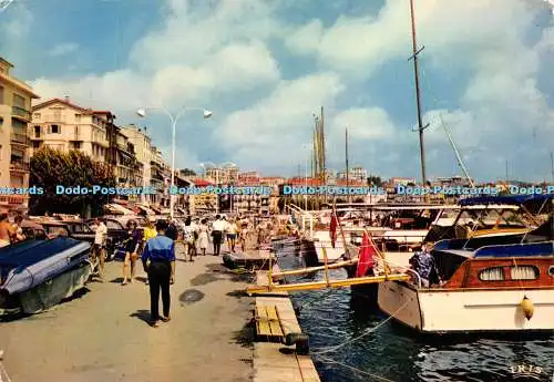 D016992 Reflets de la Cote d Azur. Cannes. Le Quai St Pierre sur le Port. La Cig