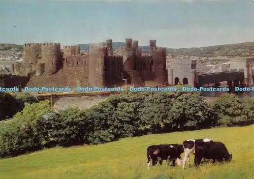 D021739 Castell Conwy. Gwynedd. Conwy Castle. Y Swyddfa Gymreig. Welsh Office. C