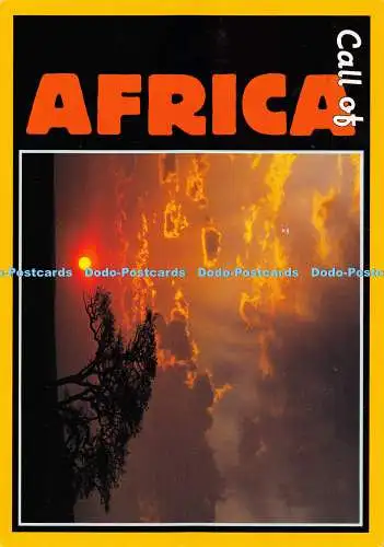 D019965 Call of Africa. Kunstverlag. Nr. 798. John Hone