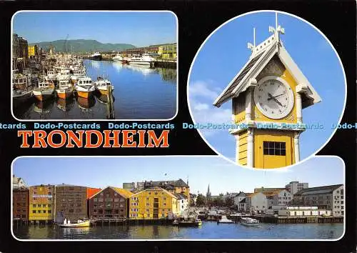 D017047 Trondheim. Norwegen. O. P. Rorvik. Aune. Multi View