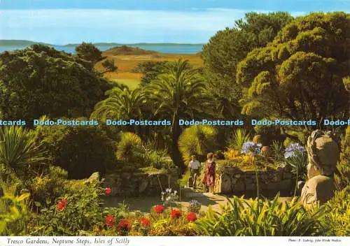 D021791 Tresco Gardens. Neptun Stufen. Scilly-Inseln. E. Ludwig. Hinde. 1982