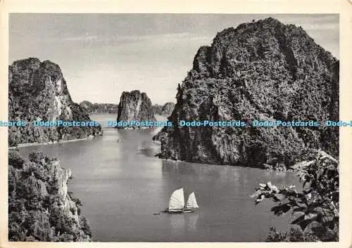 D021824 Panorama zaliva Ha Long. Izobrazitelnoje Iskustva i Muziki