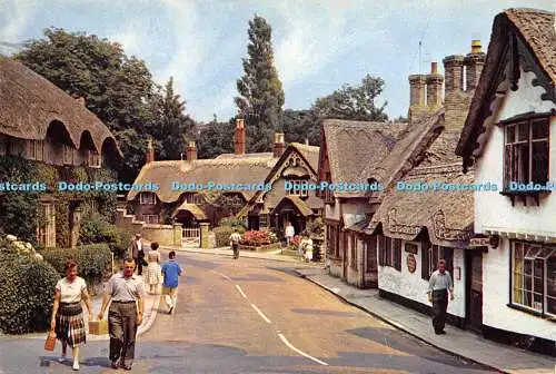 D017202 Old Village. Schaftlin. Isle of Wight. Dixon. 1976