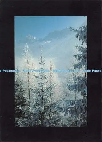 D020243 Quietude Hivernale. Inedite. Andre Fournier. 1988