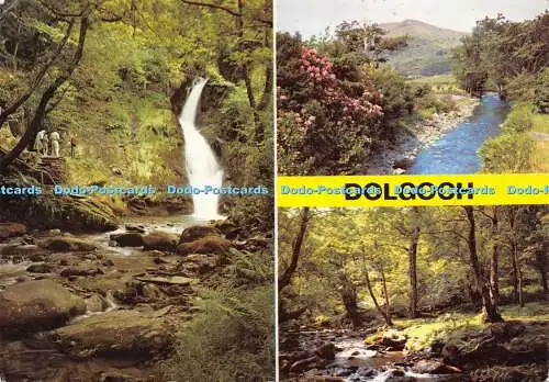 D017295 Dolgoch. Gwynedd. Dixon. 1977. Multi View